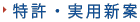 �����E���p�V��