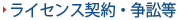 ���C�Z���X�_��E���ד�